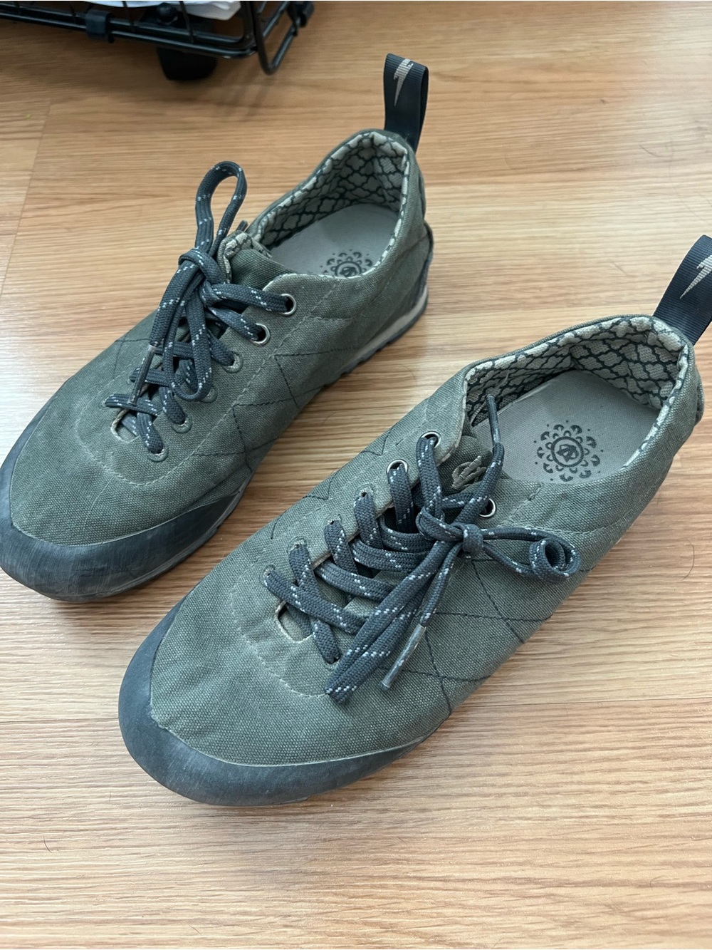 Evolve Approach shoes